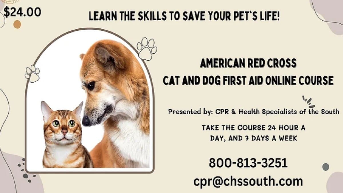 $$ CHSSouth & American Red Cross - Cat & Dog First Aid Certification - Online