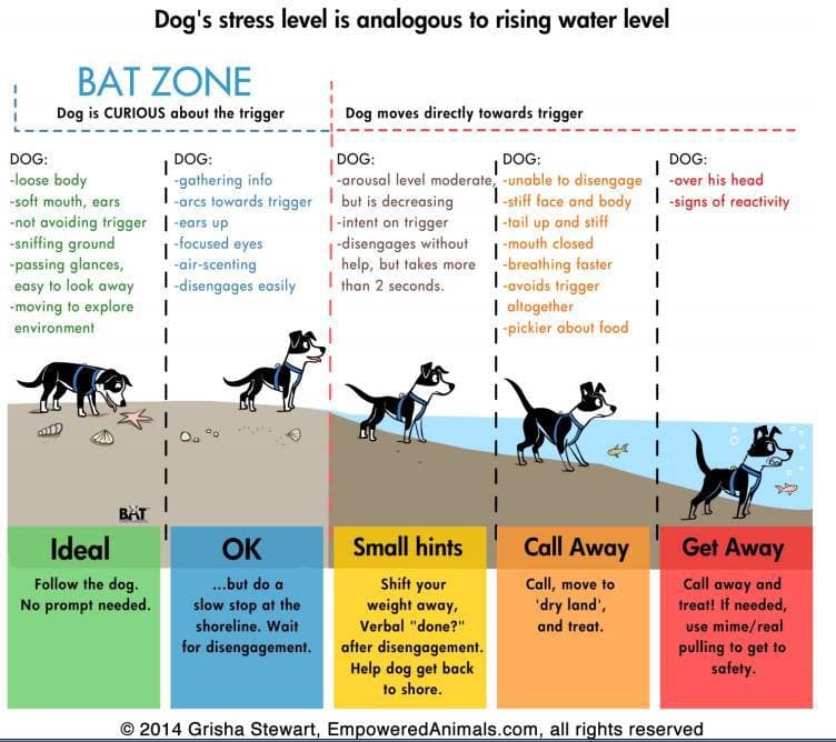 Austin Dog Zone- Reactive Dog Walking Meetup