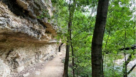 Hike Shoal Creek Trail - 4 or 8 Miles
